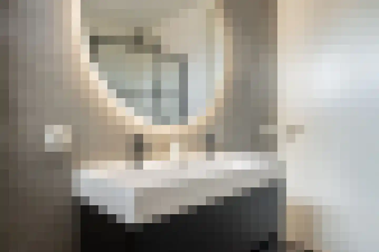 De Wierse 47 Biddinghuizen thumbnail 23