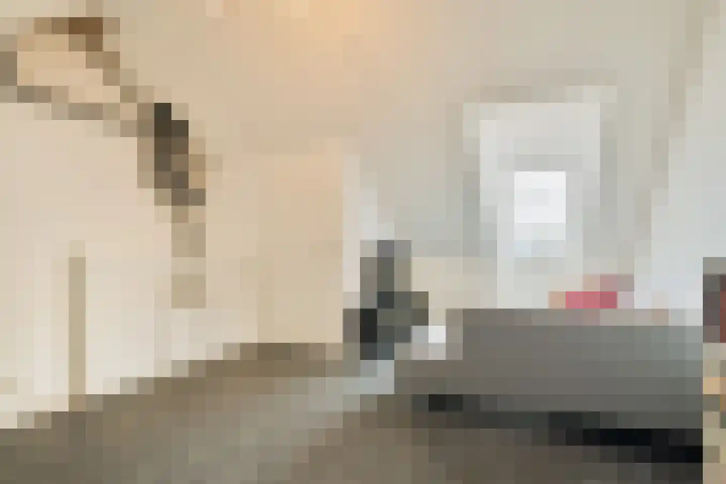 De Wierse 47 Biddinghuizen thumbnail 25