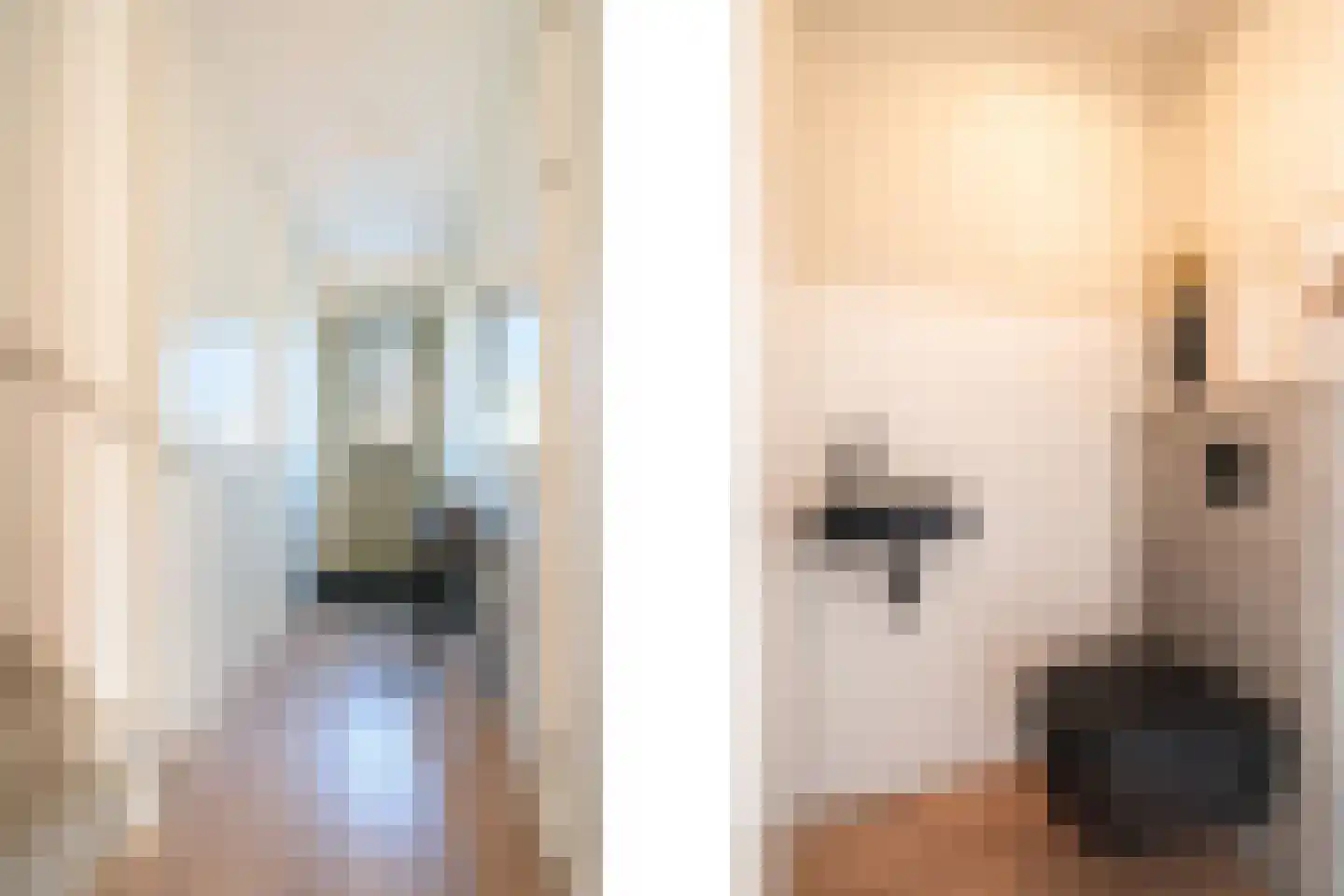 De Wierse 47 Biddinghuizen thumbnail 9