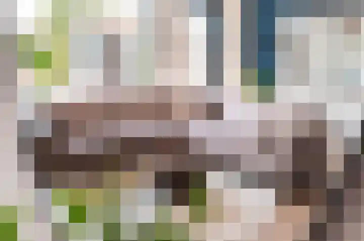 De Wierse 5 Biddinghuizen thumbnail 10