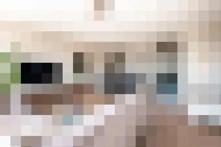 De Wierse 5 Biddinghuizen thumbnail 13