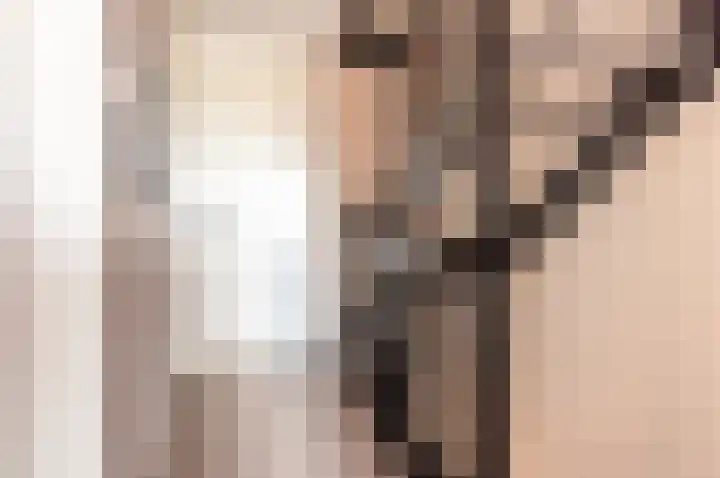 De Wierse 5 Biddinghuizen thumbnail 22