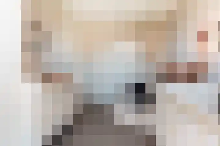 De Wierse 5 Biddinghuizen thumbnail 27