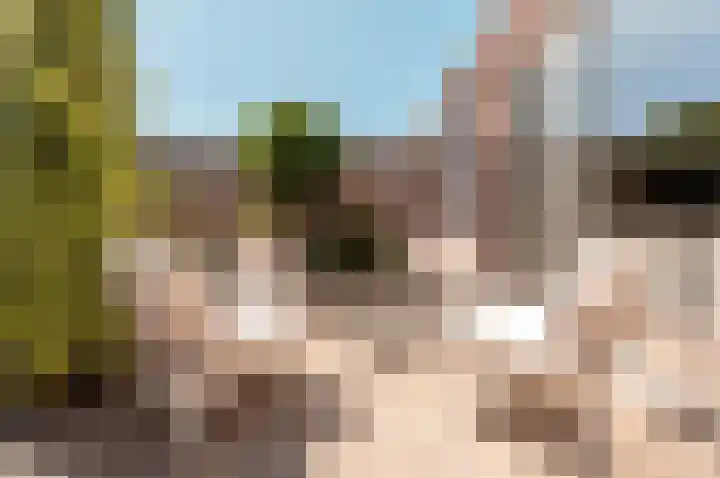 De Wierse 5 Biddinghuizen thumbnail 37