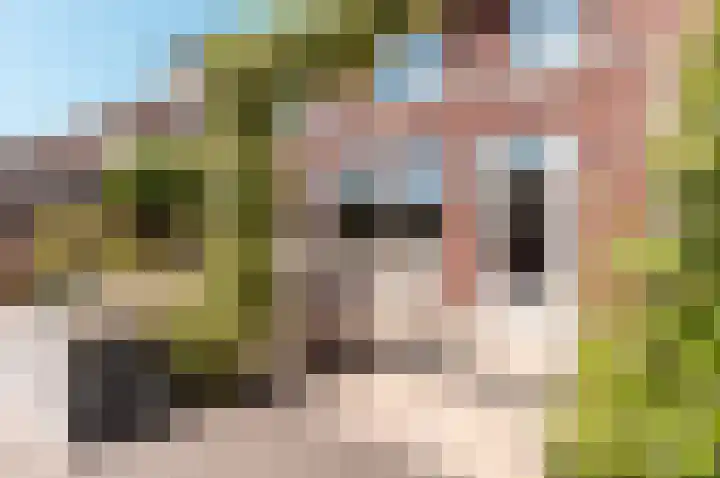 De Wierse 5 Biddinghuizen thumbnail 38