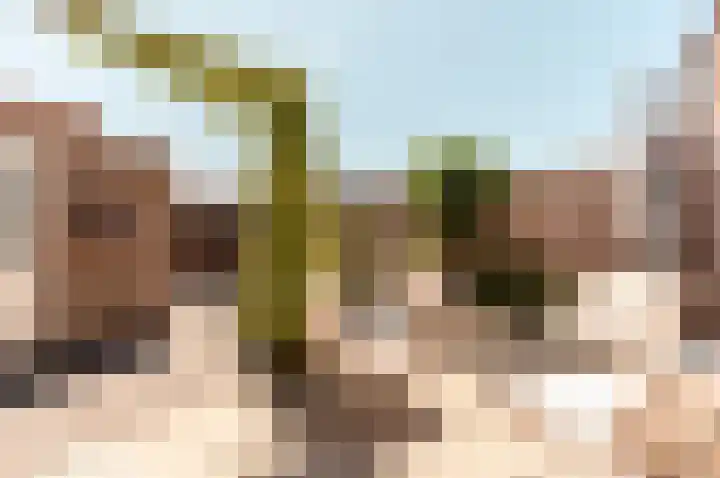 De Wierse 5 Biddinghuizen thumbnail 4
