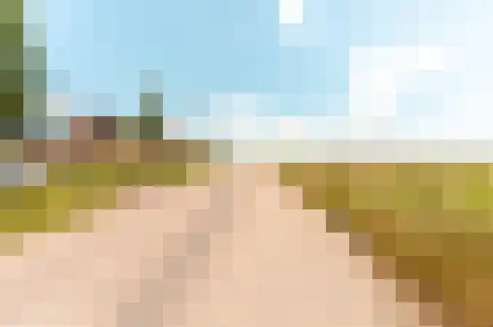 De Wierse 5 Biddinghuizen thumbnail 46