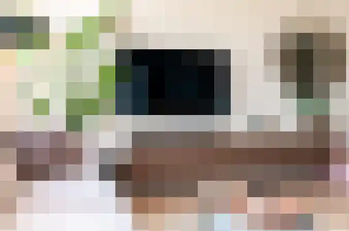 De Wierse 5 Biddinghuizen thumbnail 9
