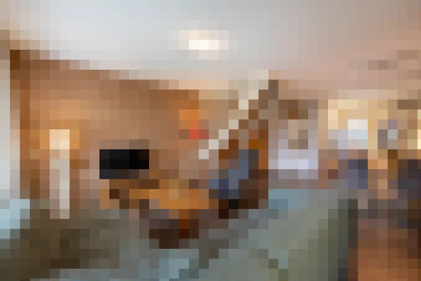 De Wiersse 29 Almelo thumbnail 10