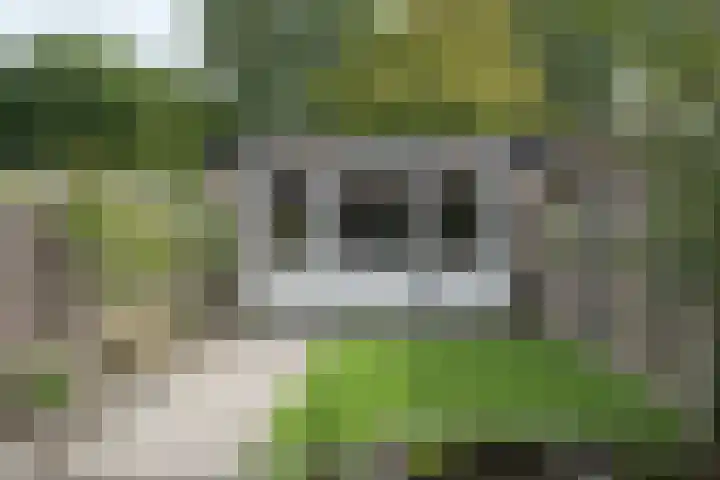 De Wiersse 4 Almelo thumbnail 31