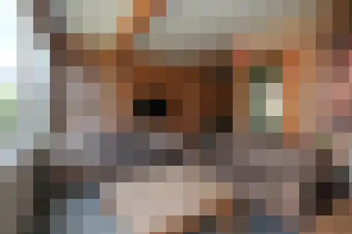 De Wiersse 4 Almelo thumbnail 32
