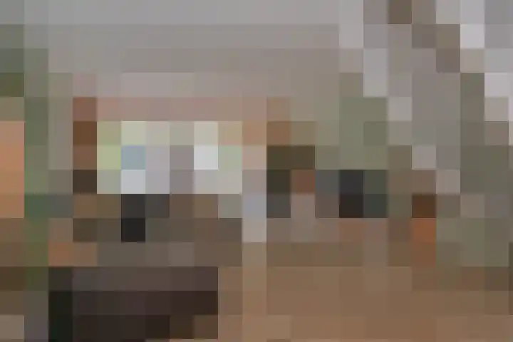 De Wiersse 4 Almelo thumbnail 7