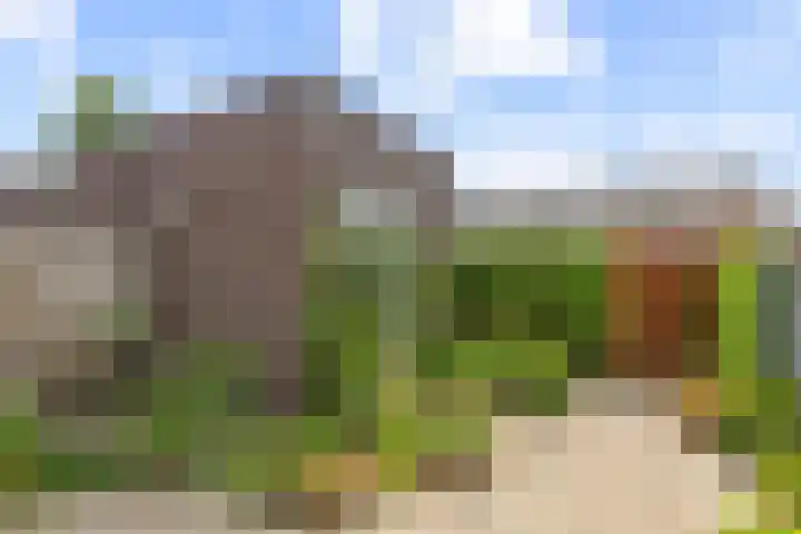 De Wiese 14 Schalkwijk thumbnail 17