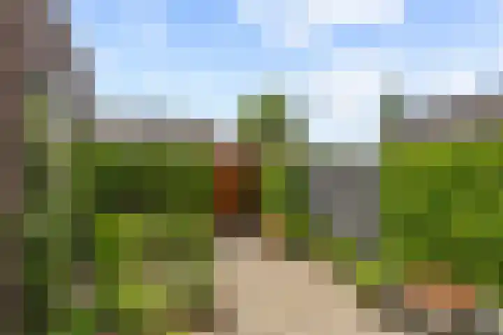 De Wiese 14 Schalkwijk thumbnail 18