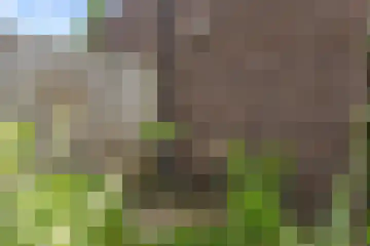 De Wiese 14 Schalkwijk thumbnail 24
