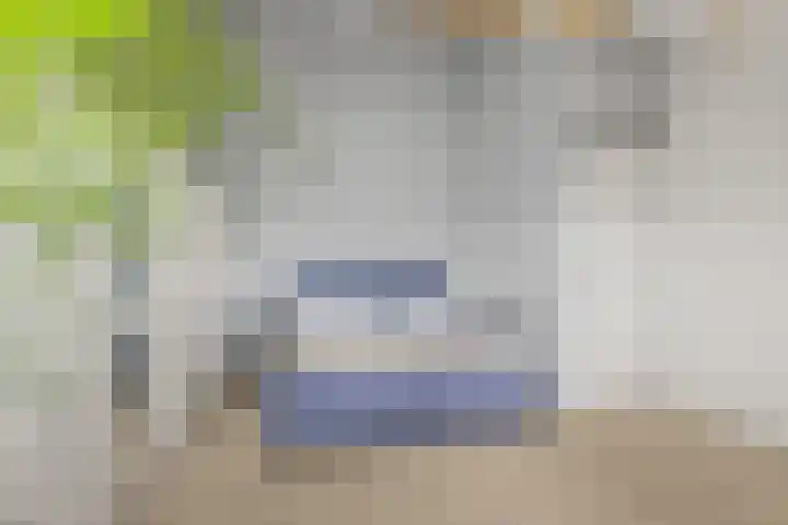 De Wiese 14 Schalkwijk thumbnail 26