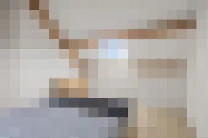 De Wiese 14 Schalkwijk thumbnail 31