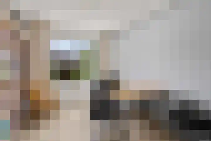 De Wiese 14 Schalkwijk thumbnail 38