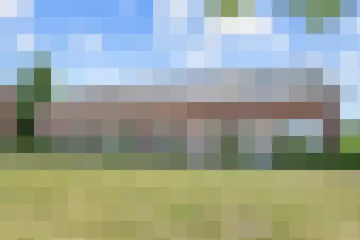 De Wiese 14 Schalkwijk thumbnail 43