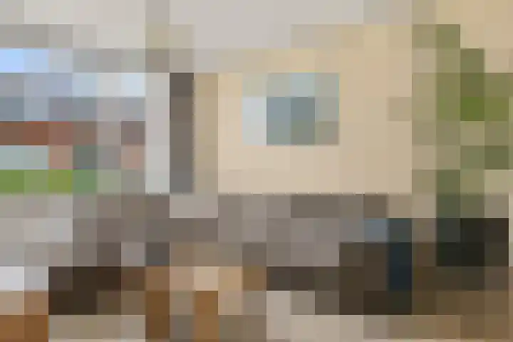 De Wiese 14 Schalkwijk thumbnail 6