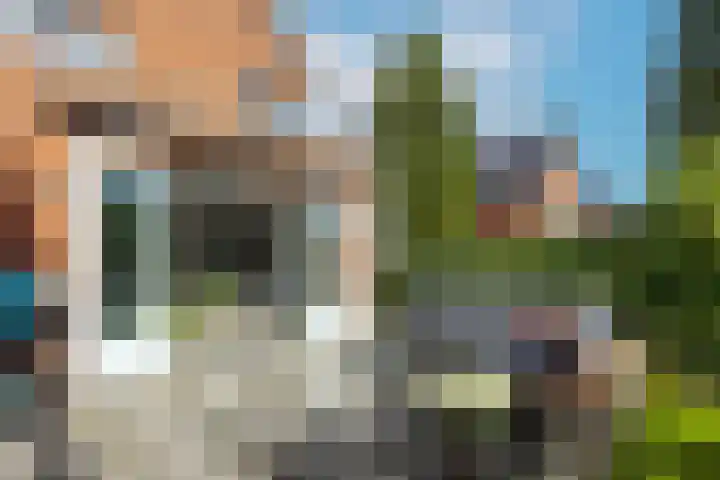 De Wiese 29 Schalkwijk thumbnail 16