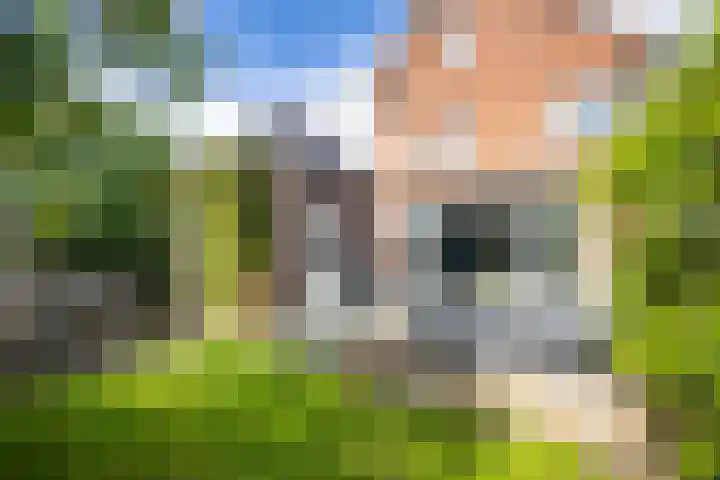 De Wiese 29 Schalkwijk thumbnail 18