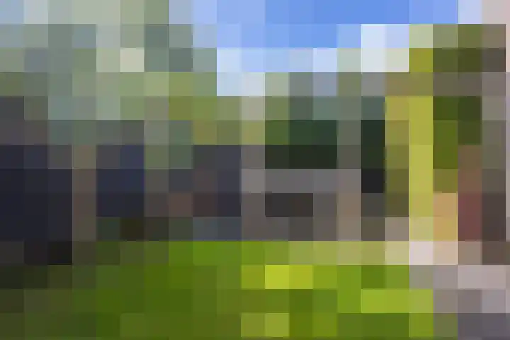 De Wiese 29 Schalkwijk thumbnail 19