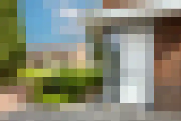 De Wiese 29 Schalkwijk thumbnail 4