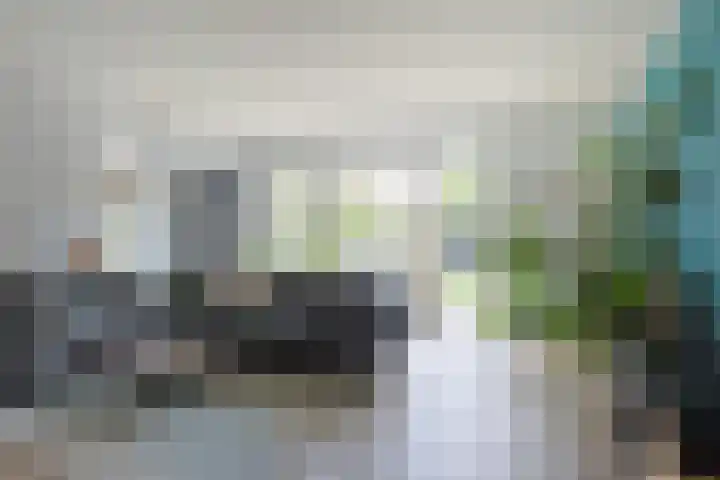De Wiese 29 Schalkwijk thumbnail 6