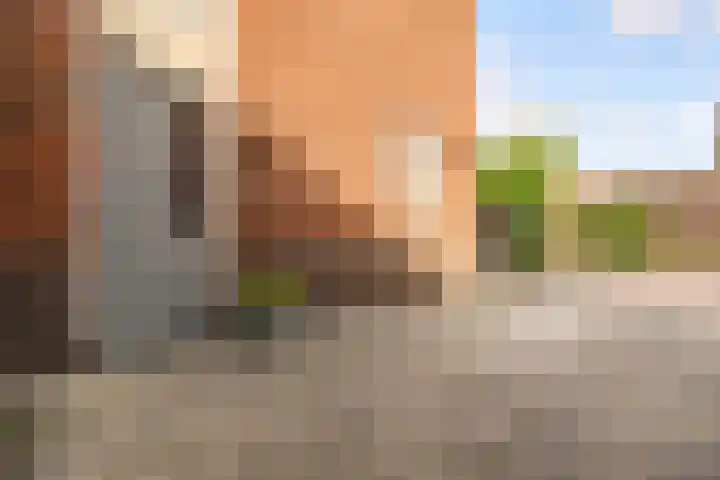 De Wiese 39 Schalkwijk thumbnail 5
