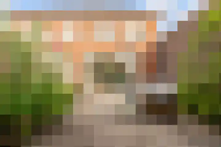 De Wiese 39 Schalkwijk thumbnail 54
