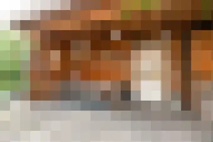 De Wiese 39 Schalkwijk thumbnail 57