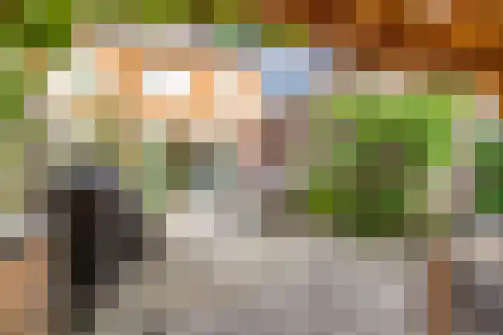 De Wiese 39 Schalkwijk thumbnail 62