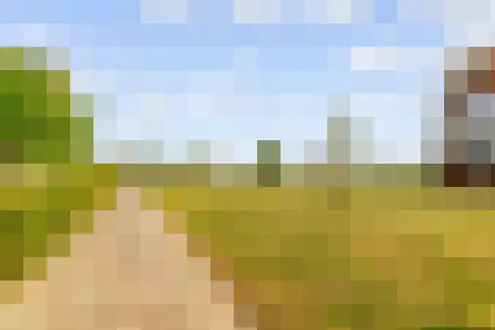 De Wiese 39 Schalkwijk thumbnail 64