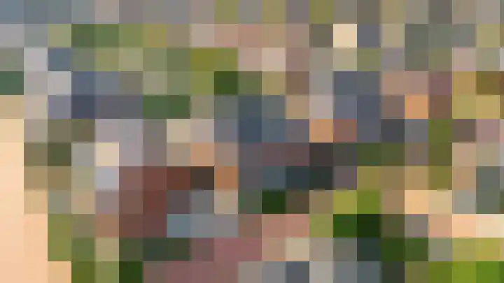 De Wiese 39 Schalkwijk thumbnail 70