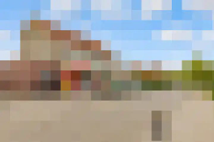 De Wiese 39 Schalkwijk thumbnail 72