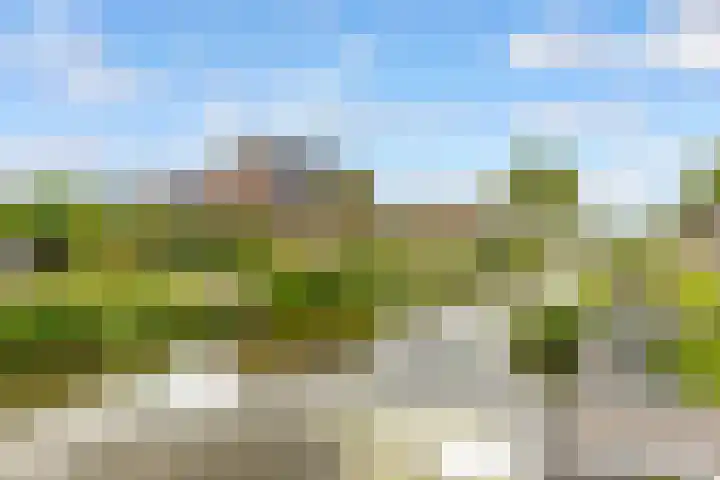 De Wiese 39 Schalkwijk thumbnail 74