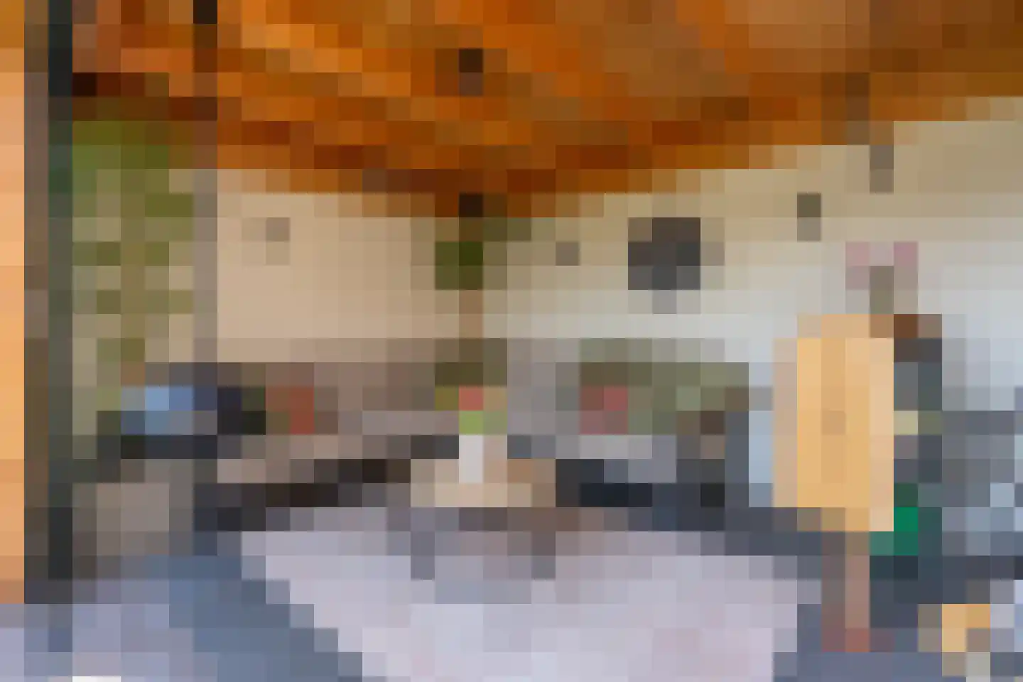 De Wiese 5 Schalkwijk thumbnail 21