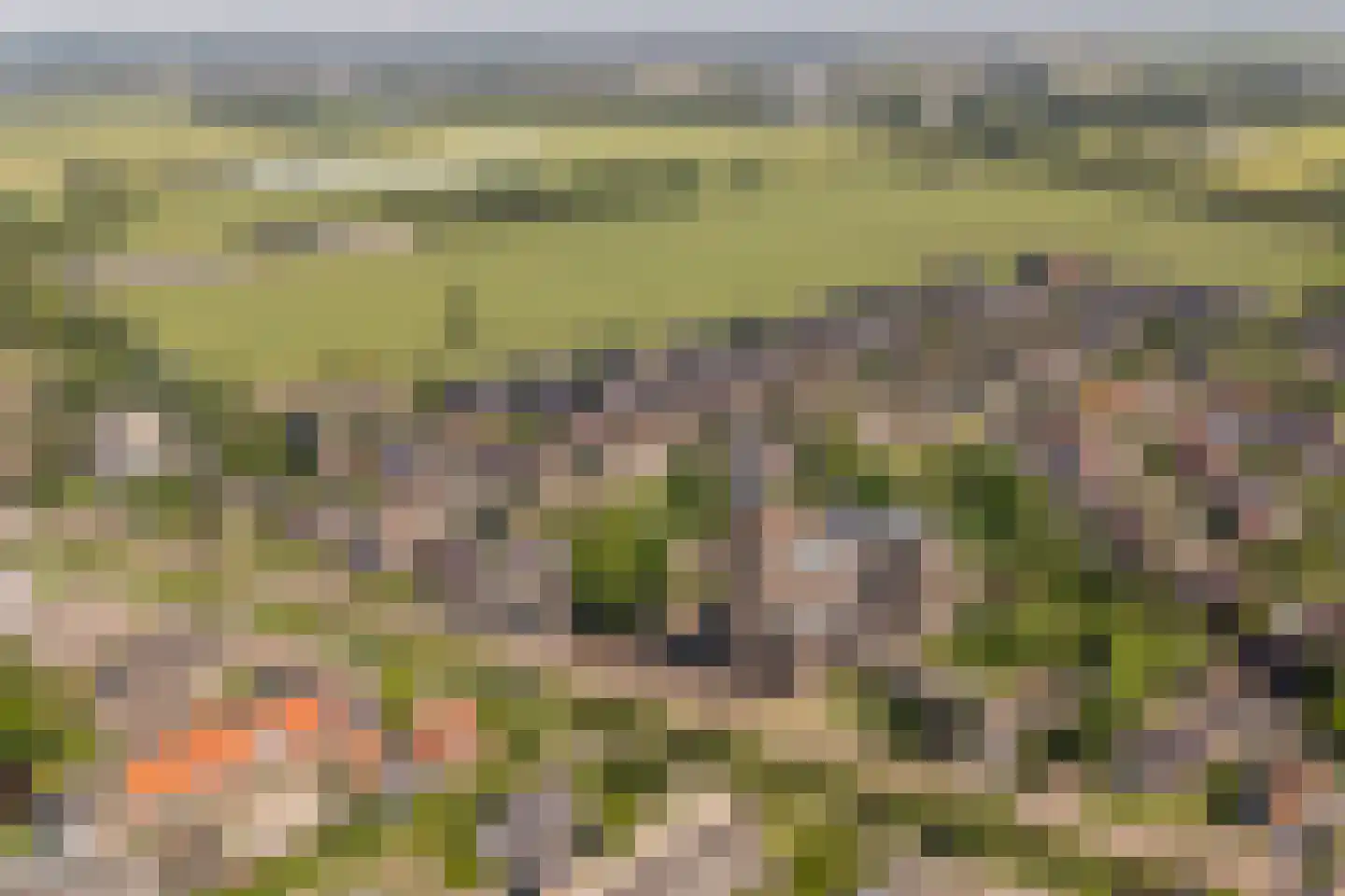 De Wiese 5 Schalkwijk thumbnail 52