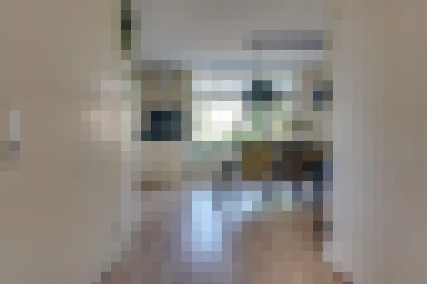 De Wiese 5 Schalkwijk thumbnail 6