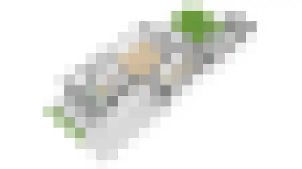 De Wiese 5 Schalkwijk thumbnail 60