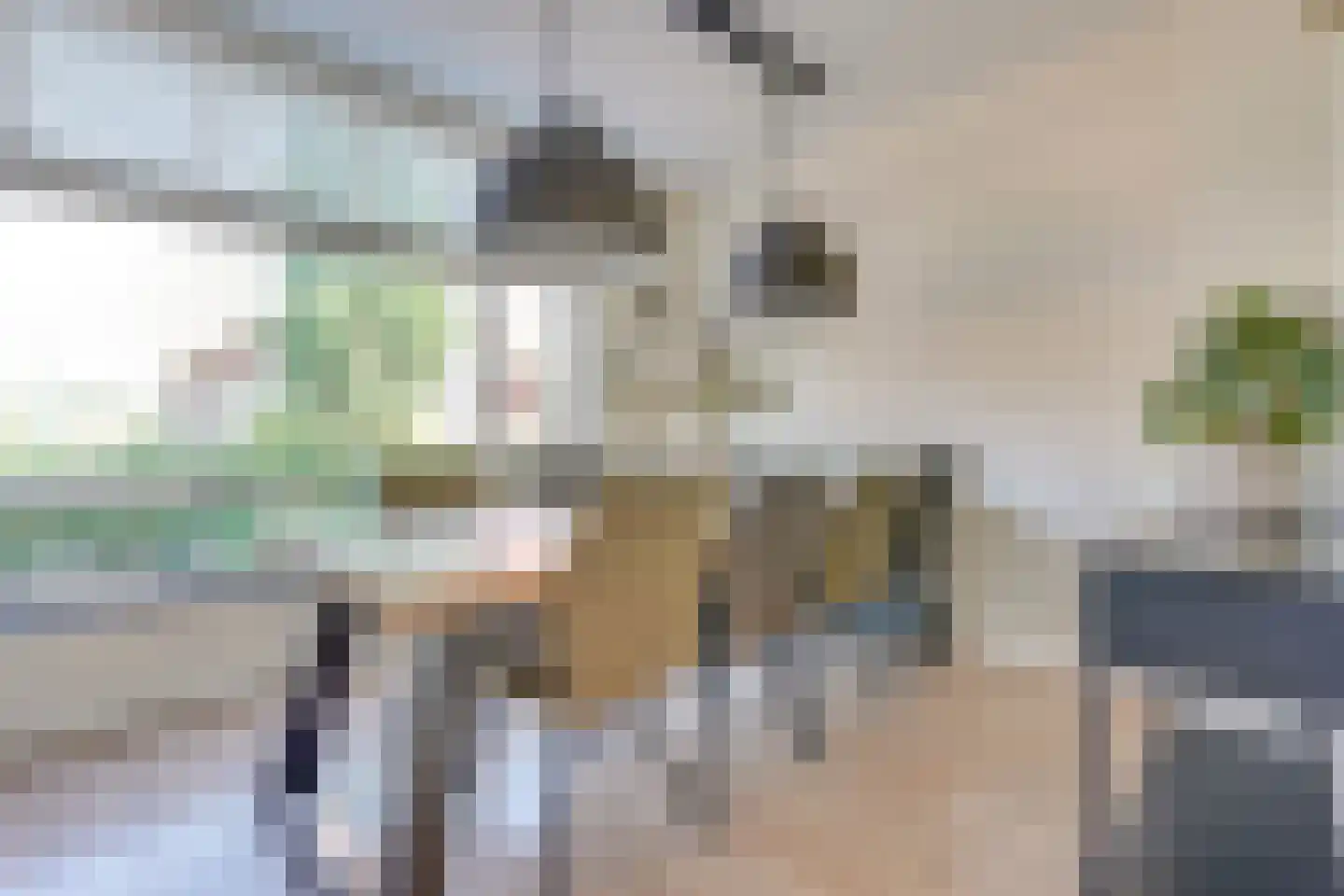 De Wiese 5 Schalkwijk thumbnail 7
