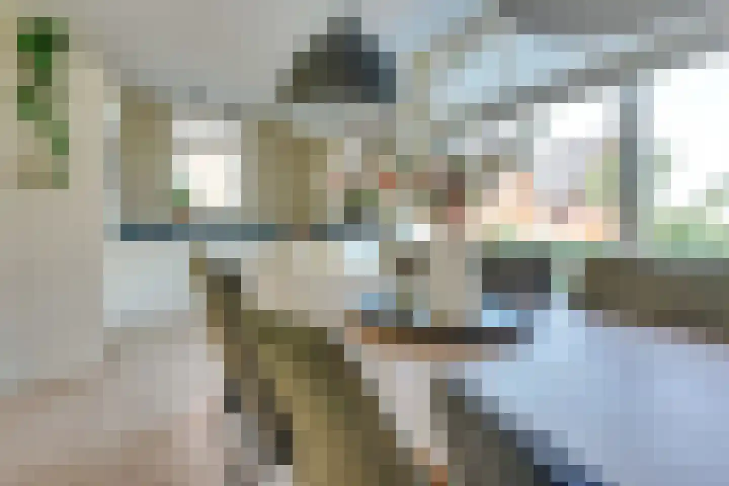 De Wiese 5 Schalkwijk thumbnail 8