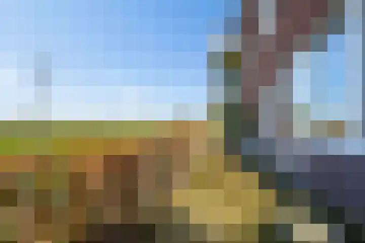De Wiese 50 Schalkwijk thumbnail 38