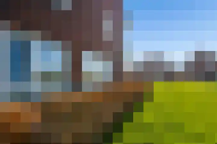 De Wiese 50 Schalkwijk thumbnail 40