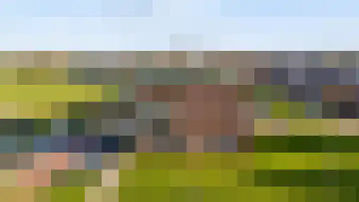 De Wiese 50 Schalkwijk thumbnail 42