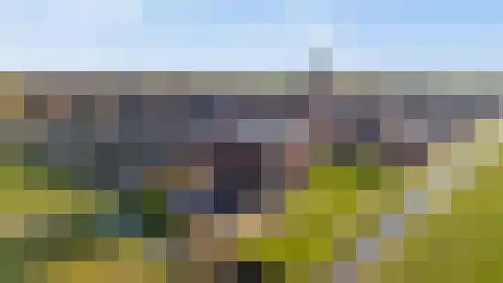 De Wiese 50 Schalkwijk thumbnail 43