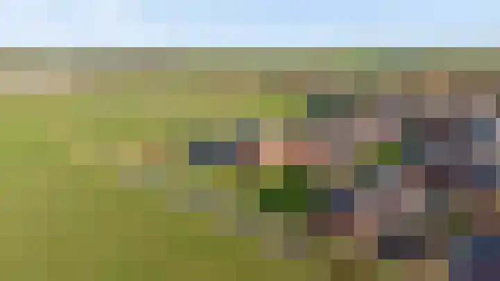 De Wiese 50 Schalkwijk thumbnail 44