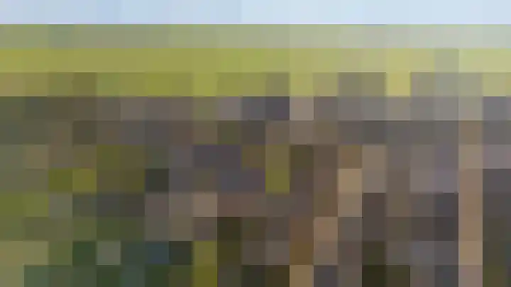 De Wiese 50 Schalkwijk thumbnail 48