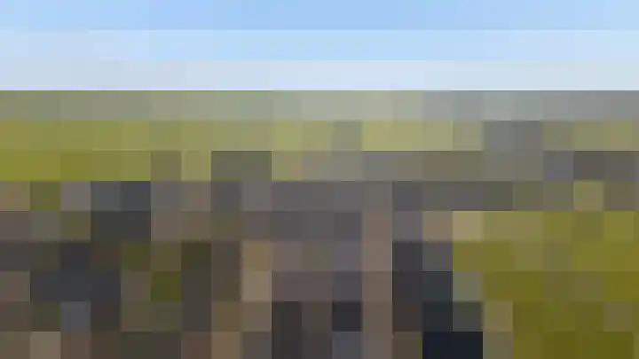 De Wiese 50 Schalkwijk thumbnail 49